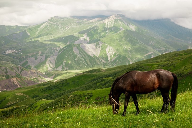 Природа гор Дагестана