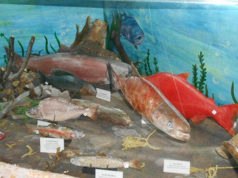 Музей лосося.