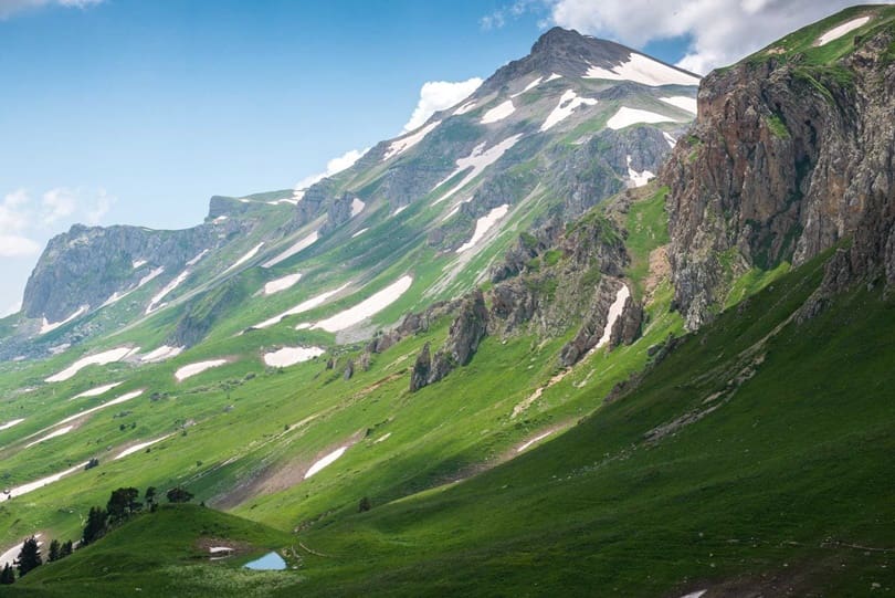 какие животные водятся в этих местах