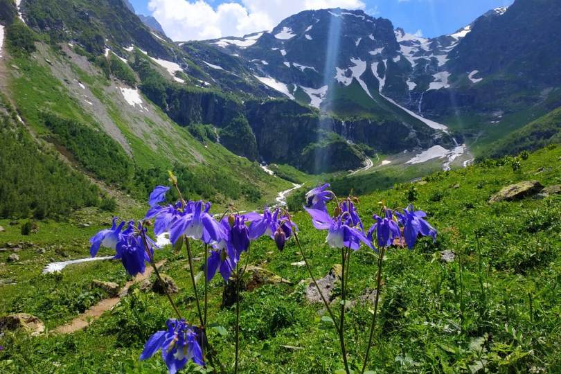 Природа в горах Архыза
