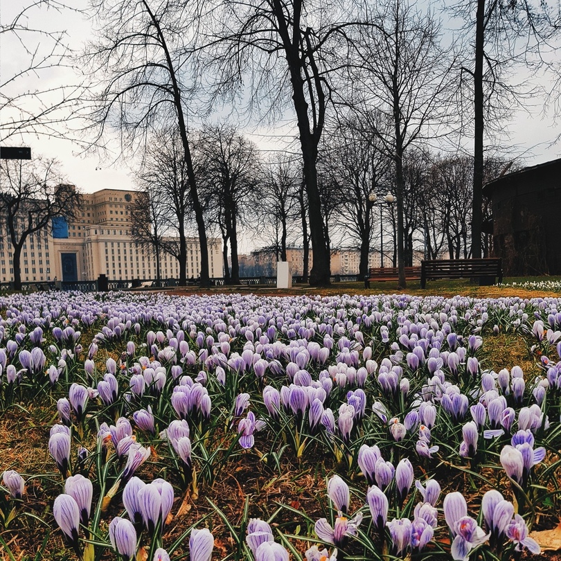 Парк Горького