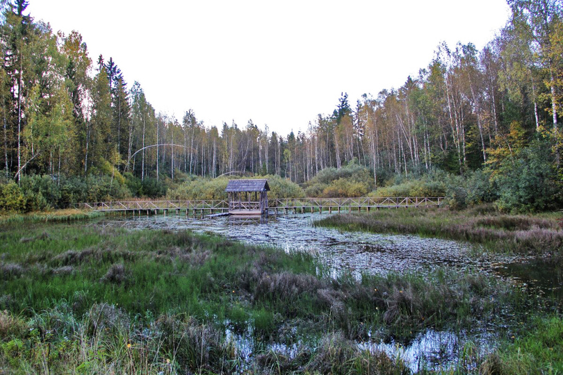 Центрально-Лесной заповедник