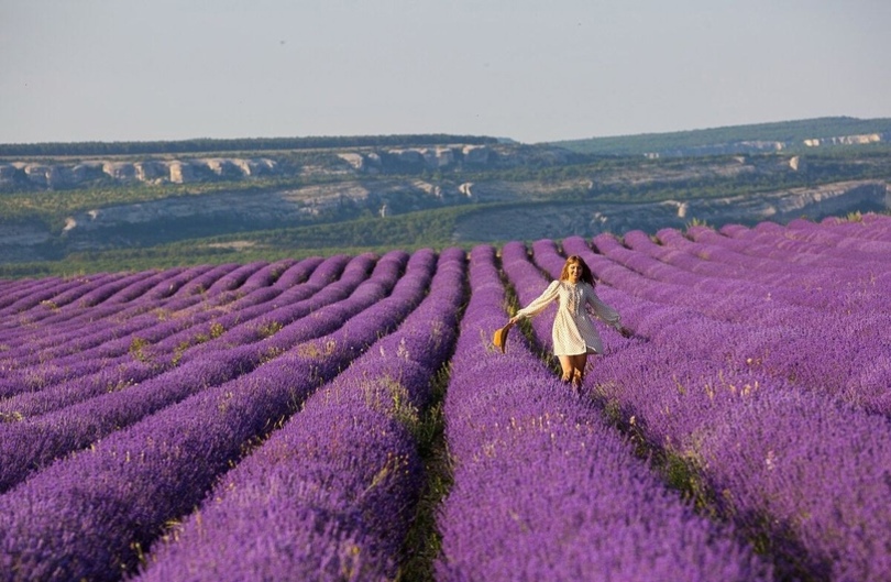 Лавандовая ферма Viva Lavanda (Бахчисарайский район, Бельбекская долина)