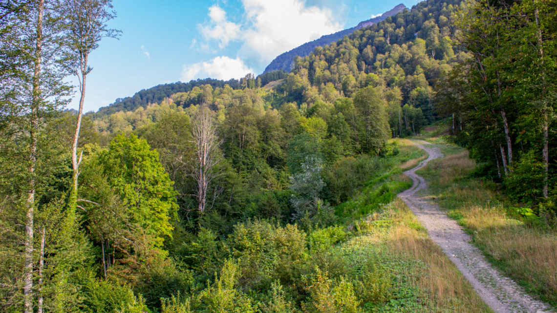Изображение №1 статьи - Красная поляна тропы: полный гид по пешим маршрутам и экотропам курорта							
