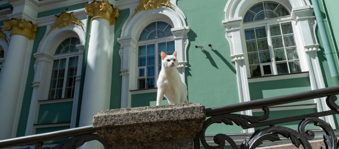 Эрмитажные коты: история появления, интересные факты