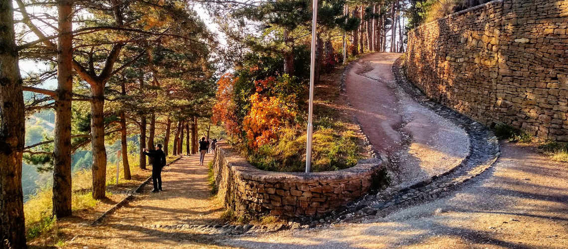 Терренкур в Кисловодске: полный гид по оздоровительным маршрутам