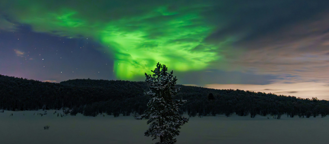 Северное сияние в Мурманске: когда можно увидеть в 2026 году