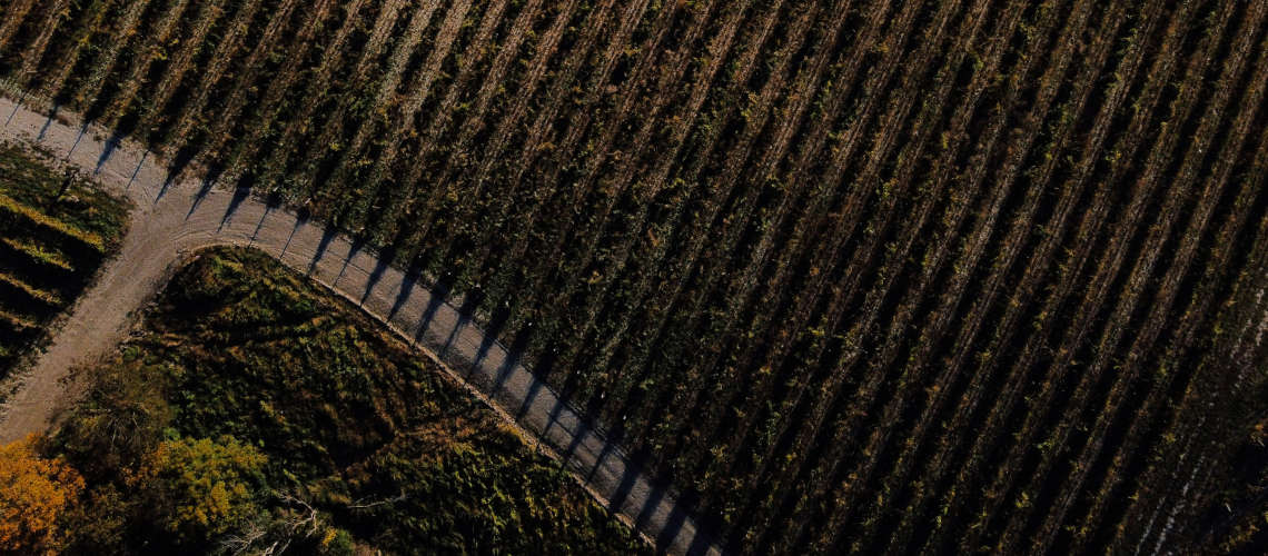 Изображение №4 статьи - Винодельни Краснодарского края: карта, фото и дегустации							