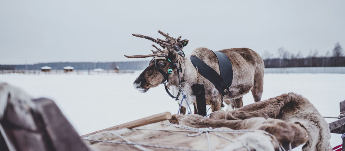 Изображение №4 статьи - Этнотуризм в России: виды, организация и лучшие маршруты							