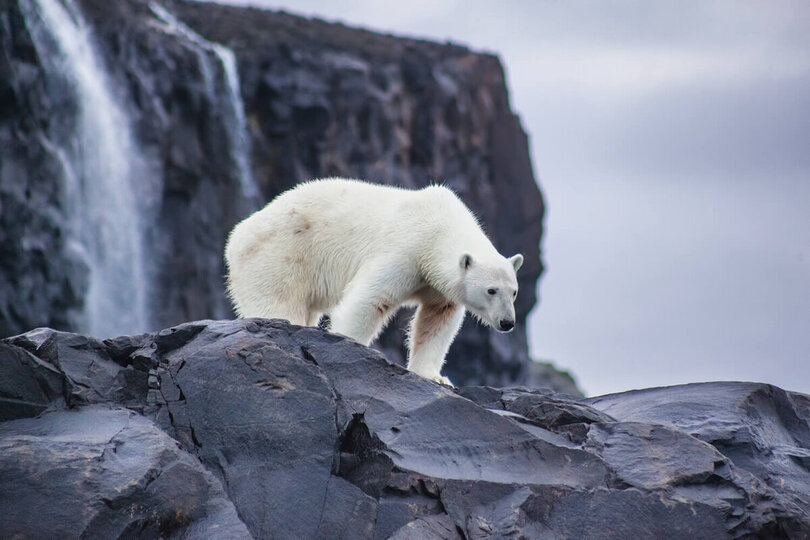 Национальный парк «Русская Арктика» — на машине до него не добраться