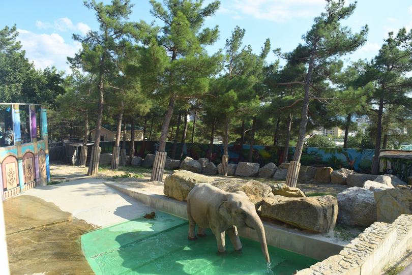 Зоопарк Сафари-парка в Геленджике