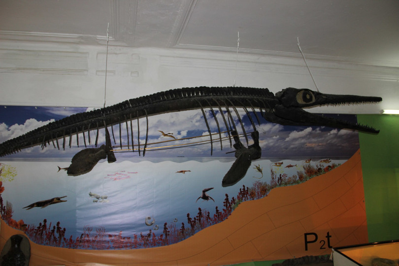 Ундоровский палеонтологический музей