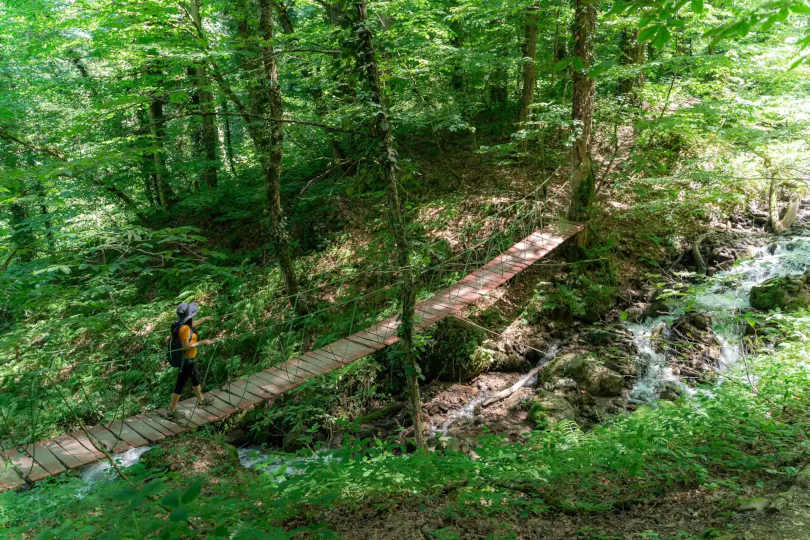 Папоротниковая тропа к заброшенной канатной дороге