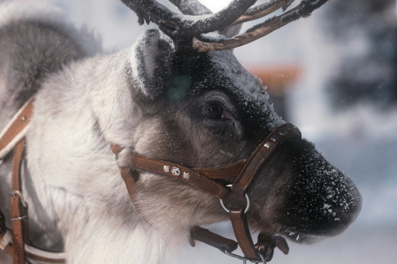 Необычные места Подмосковья