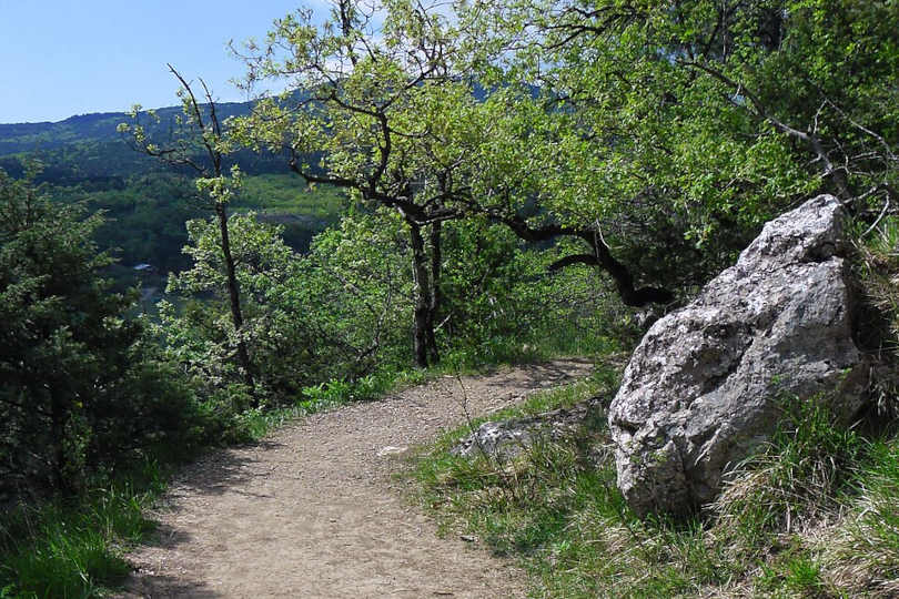 Боткинская тропа