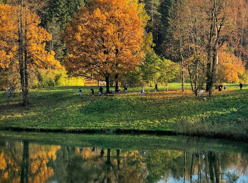 Павловский парк