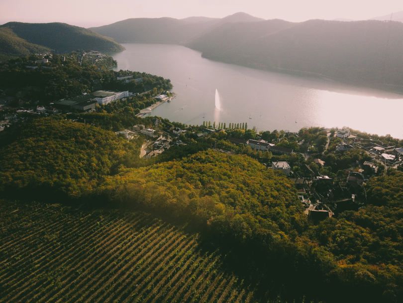 Анапский район: винная столица региона