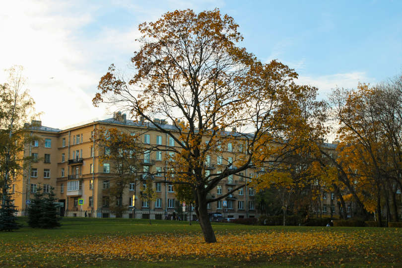 Санкт-Петербург в ноябре