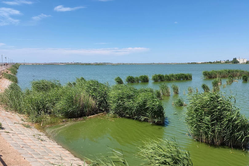 Сакское озеро: описание, расположение и как добраться