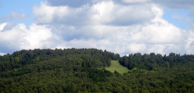 Салиховская гора