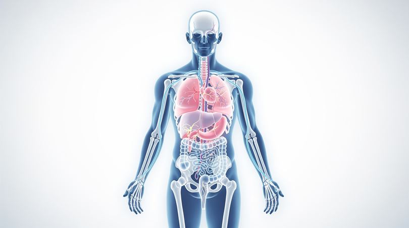 Что делать при акклиматизации