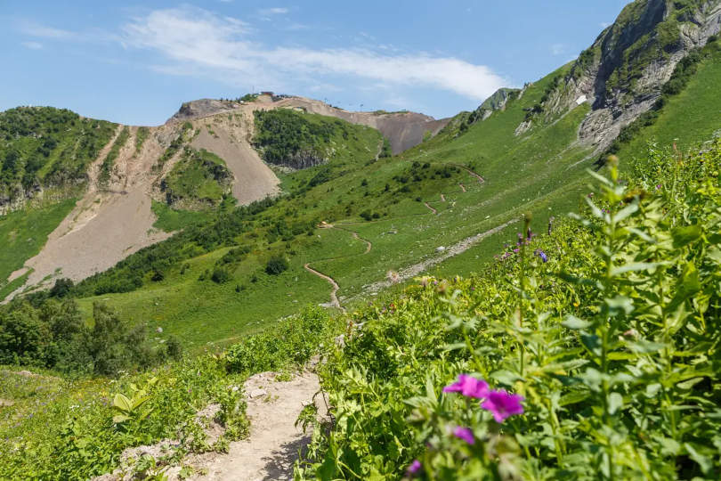 Альпийские луга - цветочное море горных вершин