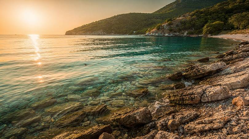 Акулы, обитающие в Черном море Акулы, обитающие в Черном море