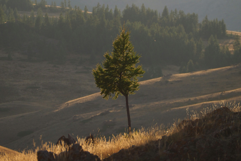 Лучшее время для фотографии Лучшее время для фотографии