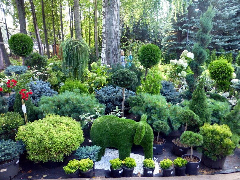 Уфимский ботанический сад.