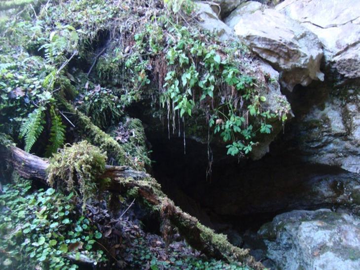 Пещера Дедова Яма