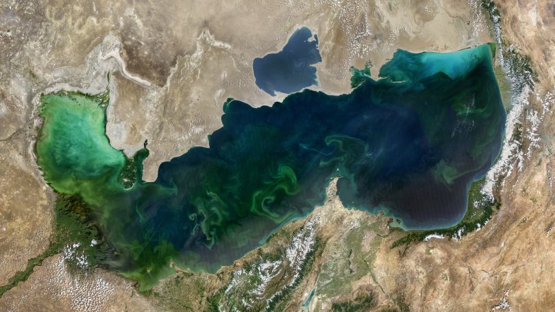Отдых на Каспийском море в 2025 году в России