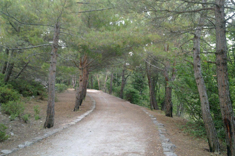 Солнечная (Царская) тропа в Ливадии