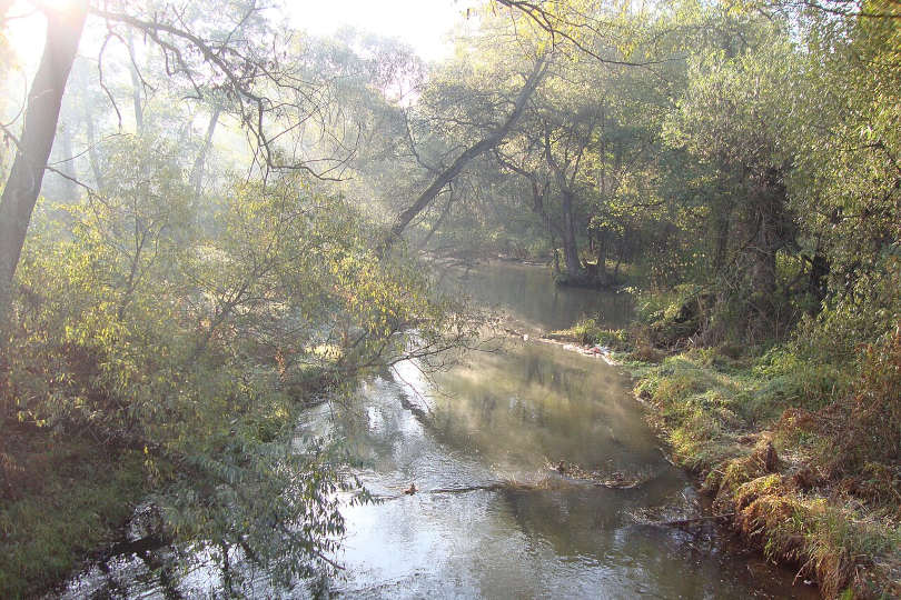 Куда съездить в Подмосковье на природу